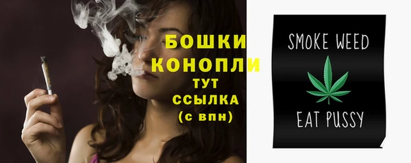 дживик Липки