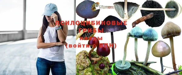 кокаин колумбия Ладушкин
