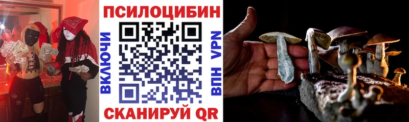 Псилоцибиновые грибы мицелий  ссылка на мегу вход  Ковров 