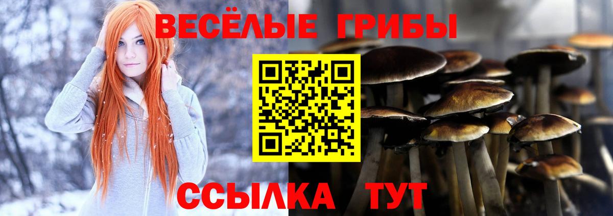 где найти наркотики  Галлюциногенные грибы прущие грибы  Вход с VPN  Ковров 